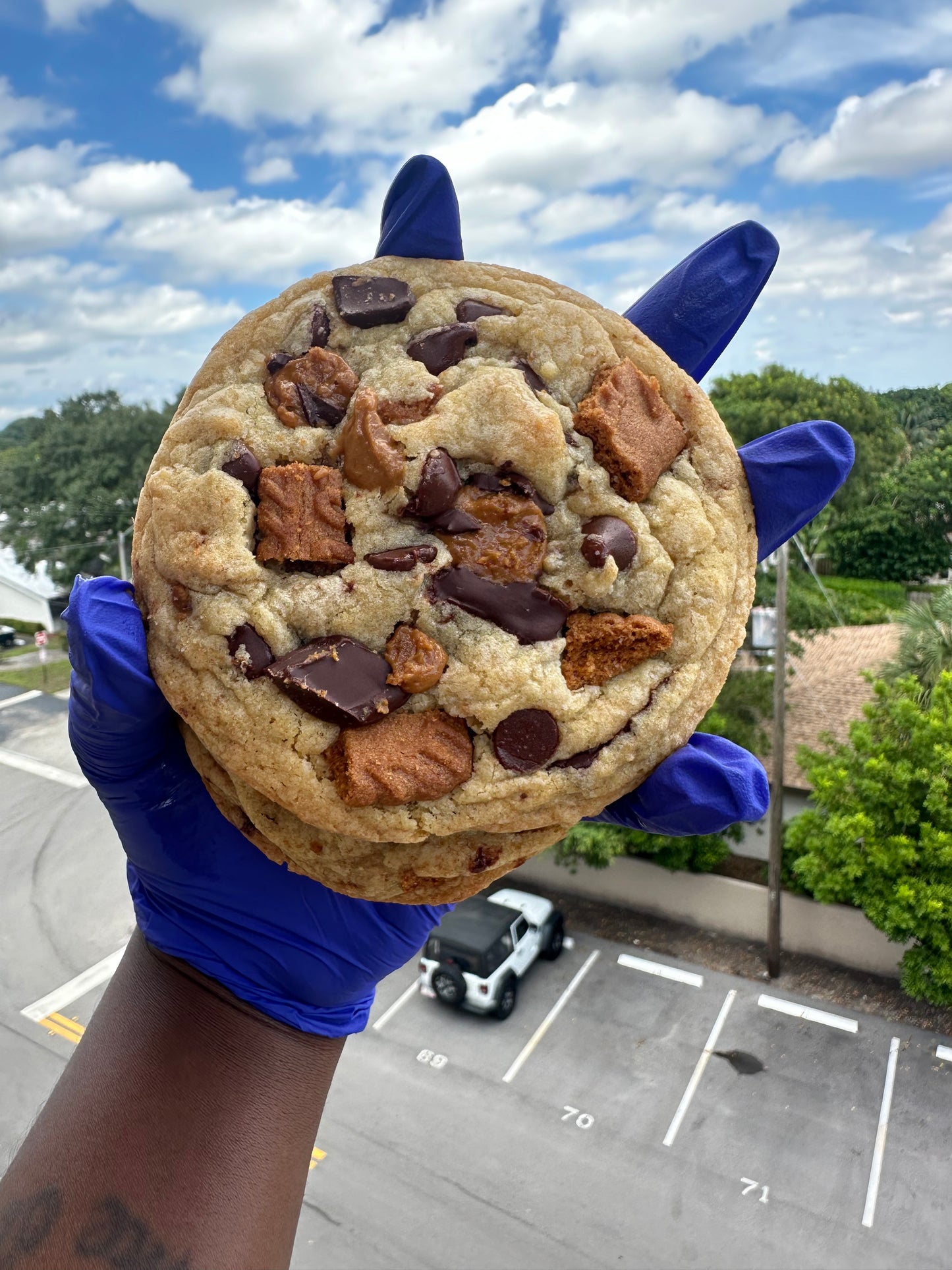 Biscoff Chocolate Chip Cookies