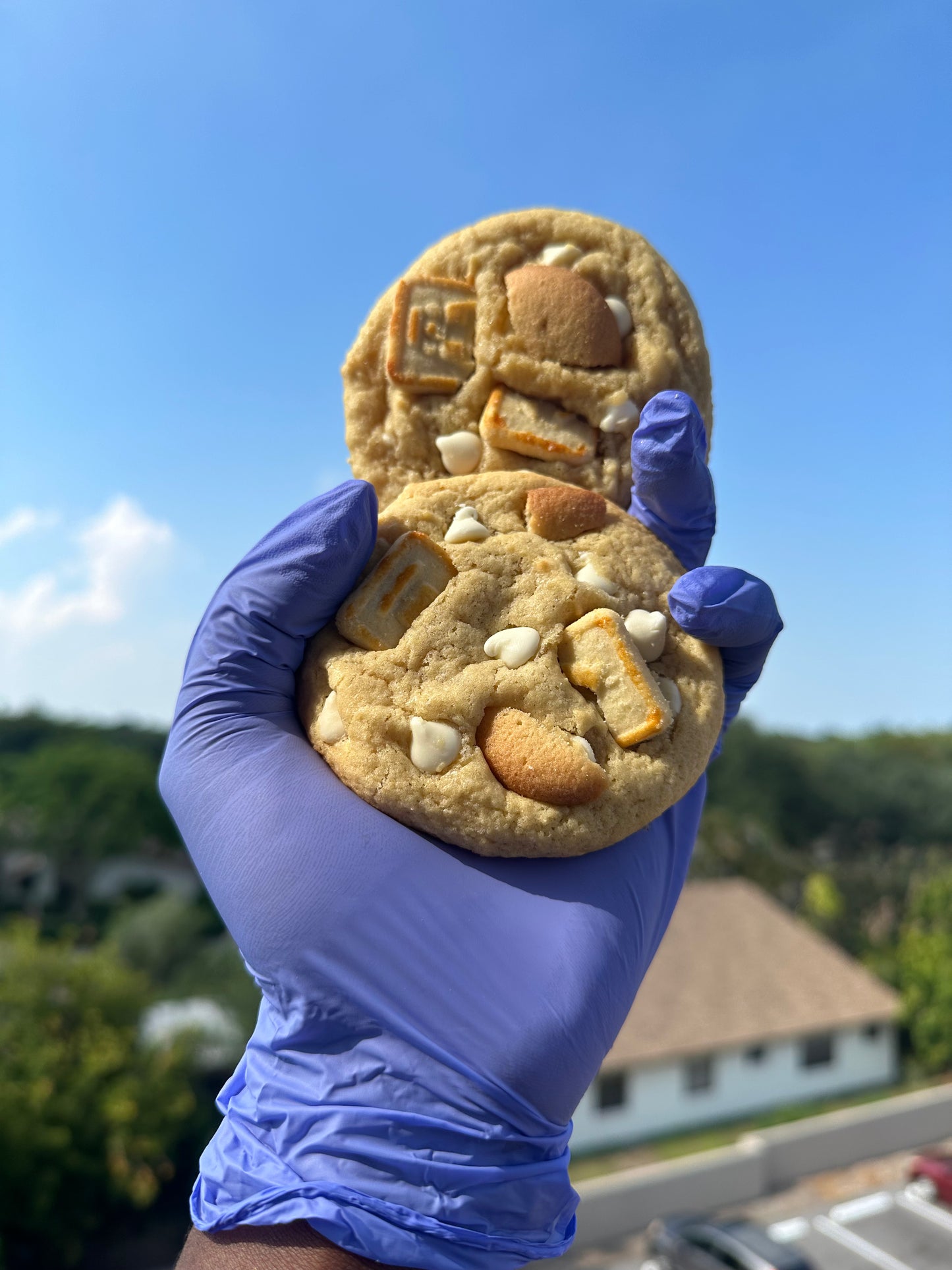 “It’s Bananas” Cookies